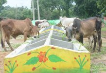 ग्रामीण अर्थव्यवस्था को मिला बूस्टर डोज : CM भूपेश बघेल ने कैसे बदले गांवों के हालात