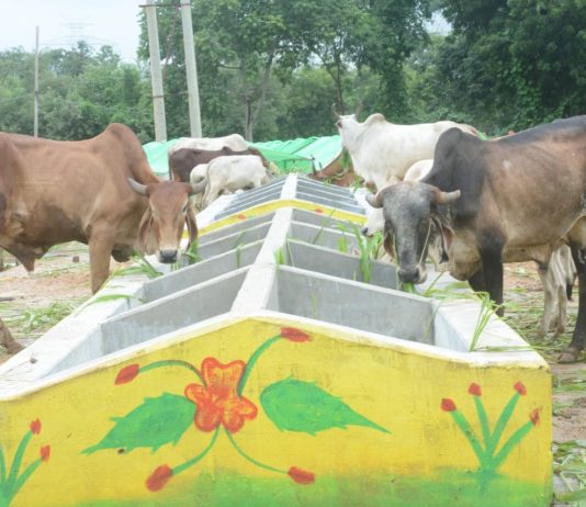 ग्रामीण अर्थव्यवस्था को मिला बूस्टर डोज : CM भूपेश बघेल ने कैसे बदले गांवों के हालात