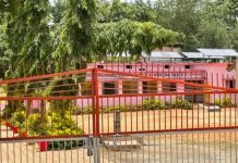 जशपुर के इस स्कूल हॉस्टल में 18 बच्चियों को हो गया कोरोना, कुछ को घर ले गए पालक