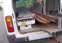 छत्तीसगढ़ के पशु चिकित्सा अधिकारी बने पुष्पा,सरकारी गाड़ी मे कर रहे थे लकड़ी की तस्करी