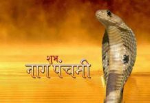 आज नाग पंचमी पर पूजा करने का यह है शुभ मुहूर्त, जानिये शुभ योग और पूजा का महत्व