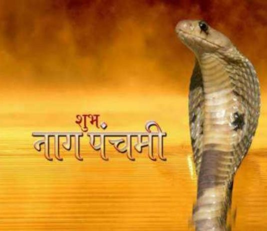 आज नाग पंचमी पर पूजा करने का यह है शुभ मुहूर्त, जानिये शुभ योग और पूजा का महत्व