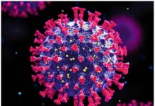 ओमिक्रॉन से 5 गुना ज्यादा खतरनाक, वैज्ञानिकों ने बनाया हाईब्रिड कोरोना वायरस