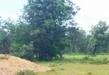 CM का बस्तर दौरा और नक्सलियों ने का दिया ब्लास्ट, BSF जवान हुआ घायल