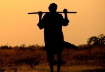 छत्तीसगढ़ के इस जिले में किसानों को लगेगा बड़ा झटका, हो सकता है लाखों का नुकसान
