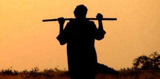 छत्तीसगढ़ के इस जिले में किसानों को लगेगा बड़ा झटका, हो सकता है लाखों का नुकसान