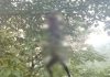 जंगल में पेड़ से लटके मिले युवक-युवती के शव, जांच में जुटी पुलिस