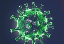 भारत जनवरी में पक्का देखेगा नई लहर? AIIMS के डॉ. ने कहा- अगले 40 दिन करें सिर्फ ये काम