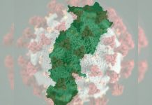 रायपुर में मिले दो नए मरीज, जीनोम सिक्वेंसिंग के लिए भेजे जाएंगे सैंपल