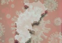 छत्तीसगढ़ में 24 घंटे में मिले इतने मरीज, 2 की मौत, यहां देखें पूरी रिपोर्ट