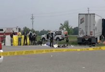 भीषण सड़क हादसा: ट्रक और बस में टक्कर के बाद 15 की मौत, 10 अन्य घायल