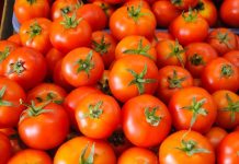 देशभर में आसमान पर पहुंचे टमाटर के दाम, बिगड़ा लोगों के घर का बजट