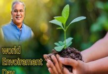 विश्व पर्यावरण दिवस पर आत्मानंद स्कूलों में किया जाएगा फलदार पौधों का वृक्षारोपण