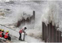 गुजरात में बिपरजॉय तूफान का कहर : 22 लोग घायल, 23 मवेशियों की मौत