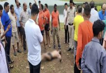 चार दोस्तों के संग पिकनिक मनाने गया जिंदल के AGM का बेटा, डैम में डूबने से मौत