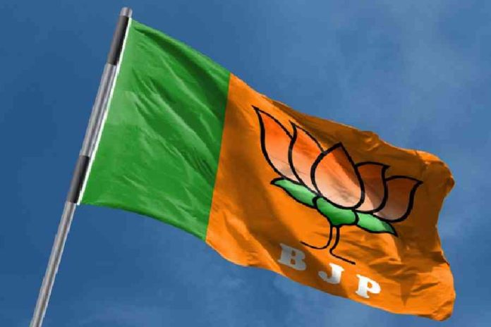 1691138026_1684066590_newbjp