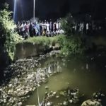 आवारा कुत्तों का आतंक, पढ़ाई से लौट रही बच्ची को दौड़ाया, डबरी में डूबकर हुई मौत