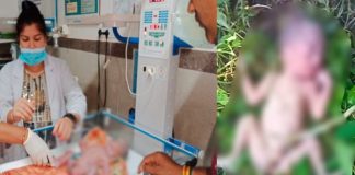 CG: महिला ने नवजात को मरने के लिए बाड़ी में छोड़ा, जानिए फिर क्या हुआ