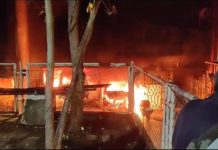 7 मंजिला इमारत में भीषण आग लगने से सात लोगों की दर्दनाक मौत, कई लोग झुलसे