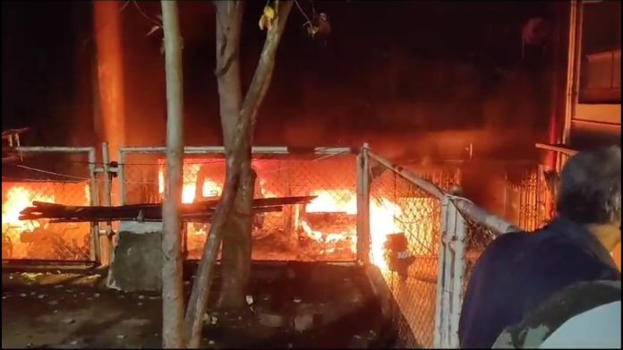 whatsapp_image_2023-10-06_at_7.54.50_am