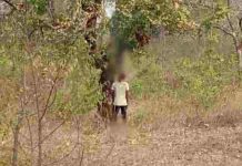 CG: वन विभाग की नर्सरी में पेड़ से लटकती मिली लाश, जांच में जुटी पुलिस