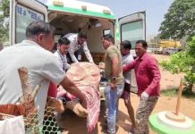 गरियाबंद में चुनावी ड्यूटी के दौरान पुलिसकर्मी ने खुद को मारी गोली, MP का रहने वाला था जवान