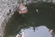 कुएं में मिला नवजात शिशु का शव, जशपुर के इस गांव का है हादसा