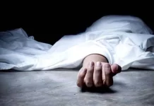 छत्तीसगढ़ के इस जिले मे दंतैल हाथियों ने महिला को कुचलकर मार डाला, घर के छप्परों को भी उजाड़ा