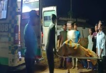 CG: किराना दुकान में आग लगने से जिंदा जल गई महिला, पेट्रोल निकालने के दौरान लगी आग