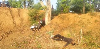 पेड़ से टकराई अनियंत्रित तेज रफ्तार बाइक, तीन युवकों की हुई मौत, शादी में शामिल होने के लिए निकले थे