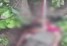 छत्तीसगढ़ के बलरामपुर में नाबालिग प्रेमी जोड़े ने लगाई फांसी, पेड़ से लटके मिले दोनों के शव
