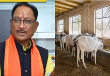 साय सरकार का बड़ा फैसला छत्तीसगढ़ में चलेगी गौ-अभ्यारण्य योजना, जानिए क्या है ये कॉन्सेप्ट
