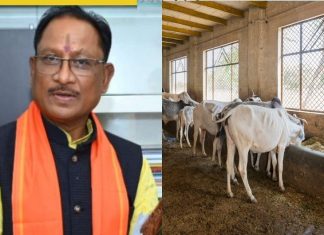 साय सरकार का बड़ा फैसला छत्तीसगढ़ में चलेगी गौ-अभ्यारण्य योजना, जानिए क्या है ये कॉन्सेप्ट