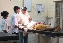 जंगल में गई महिला पर भालुओं ने किया हमला, गंभीर रूप से घायल