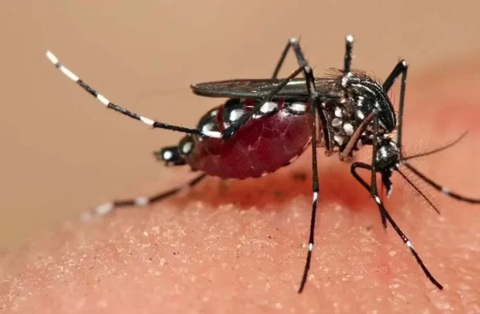 3864843-untitled-1-copy