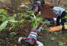 सियादेवी घूमने गए 3 दोस्तों की मौत, पेड़ से बाइक टकराने के कारण हुआ हादसा