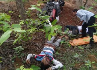 सियादेवी घूमने गए 3 दोस्तों की मौत, पेड़ से बाइक टकराने के कारण हुआ हादसा
