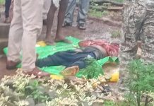 बालोद में बीजेपी नेता के फार्म हाउस में मर्डर, खूनी वारदात से दहला छत्तीसगढ़