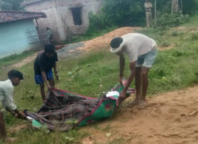 जशपुर में हाथियों का आतंक, घर में सो रहे 2 सगे भाइयों को कुचलकर मार डाला